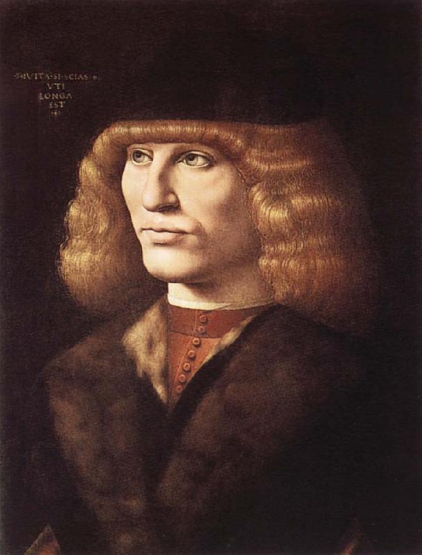 PREDIS, Ambrogio de Portrat of a young man oil painting image